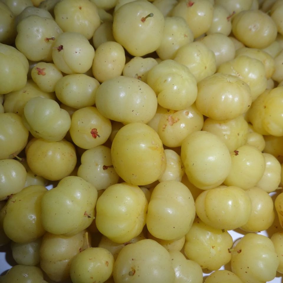 health tips for winter season